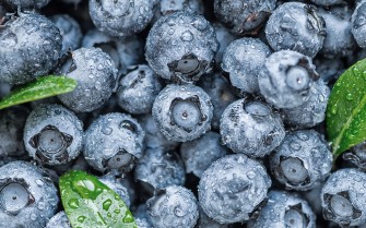 alimenti per la circolazione